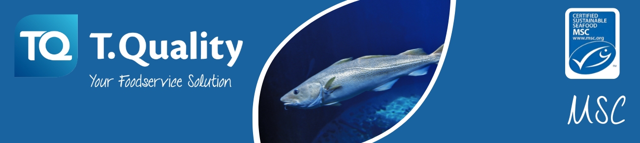 TQ_Website_-_Small_Banner_Advert_-_MSC