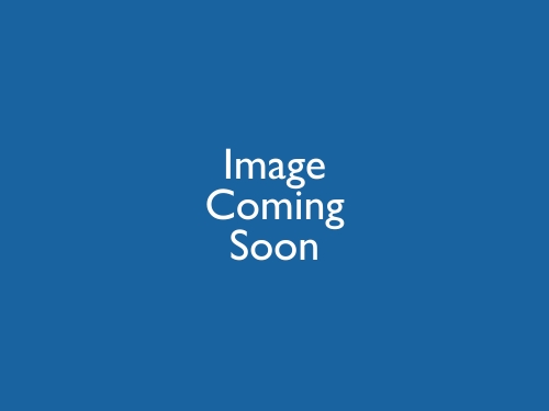 POLAR C-SERIES UPRIGHT FREEZER WHITE 365LTR