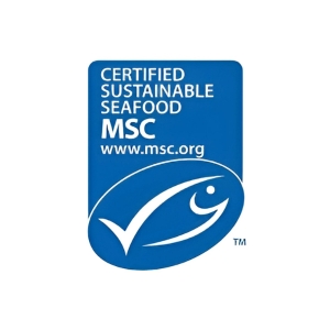 MSC_Logo