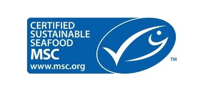 TQ_Website_-_MSC_Logo