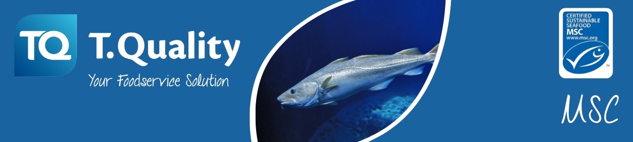 TQ_Website_-_Small_Banner_Advert_-_MSC_1
