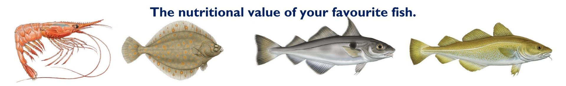 The_nutritional_value_of_your_favourite_fish.