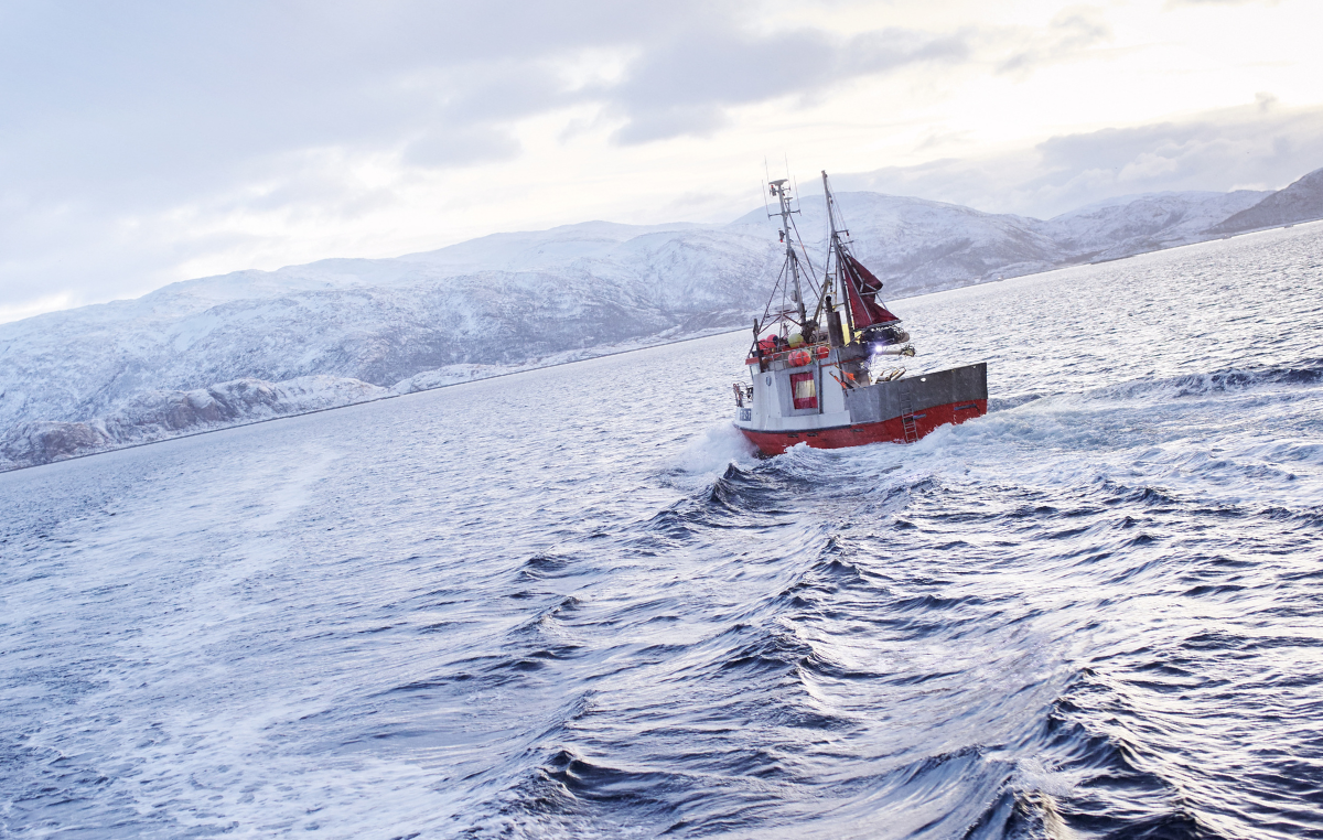 Norwegian Seafood Council launches sustainability hub for fish and chip shop operators 